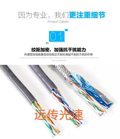 远传光速国标过测网线 超五类品质，300米无氧铜芯的可靠之选